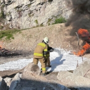 Actiontag im Abschnitt 4 Bezirk Flachgau