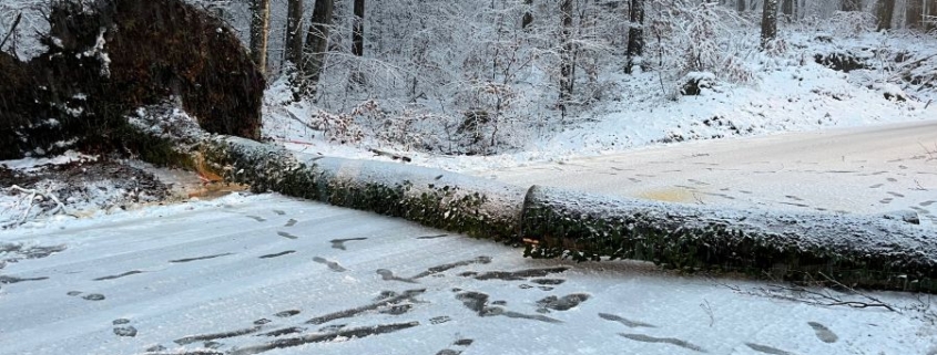 Baum umgestürzt Schwaitl-Landesstraße