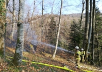 Alarmstufe 3 - Waldbrand in Elsbethen