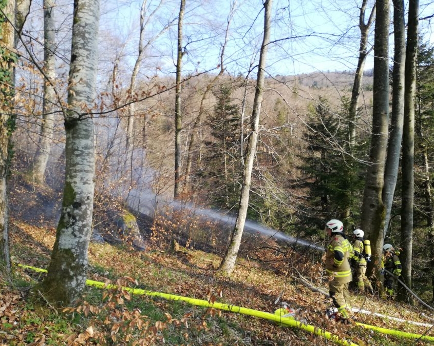 Alarmstufe 3 - Waldbrand in Elsbethen