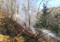 Alarmstufe 3 - Waldbrand in Elsbethen