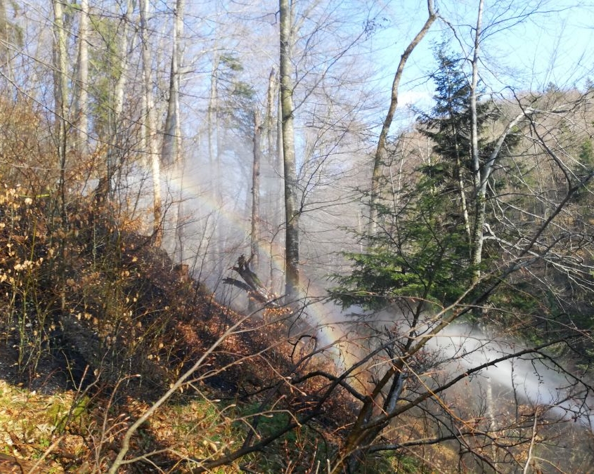 Alarmstufe 3 - Waldbrand in Elsbethen