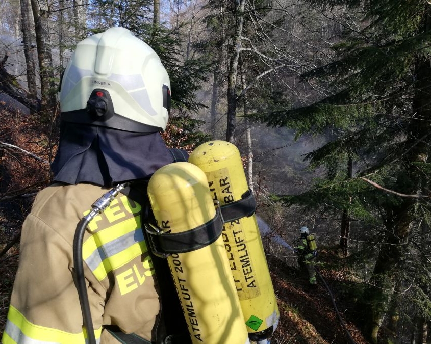 Alarmstufe 3 - Waldbrand in Elsbethen