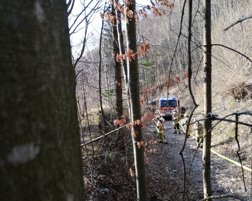 Alarmstufe 3 - Waldbrand in Elsbethen