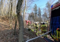 Alarmstufe 3 - Waldbrand in Elsbethen