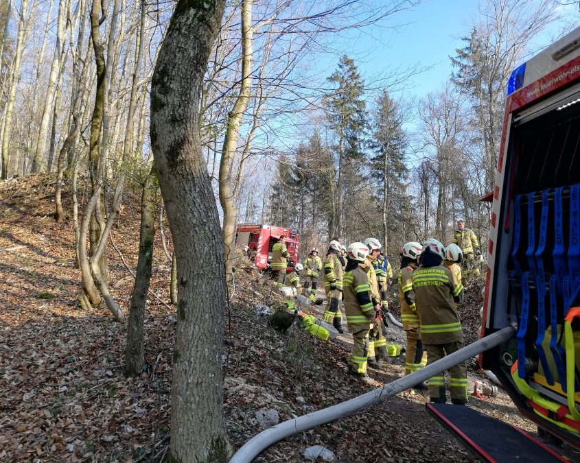 Alarmstufe 3 - Waldbrand in Elsbethen