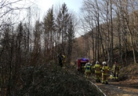 Alarmstufe 3 - Waldbrand in Elsbethen