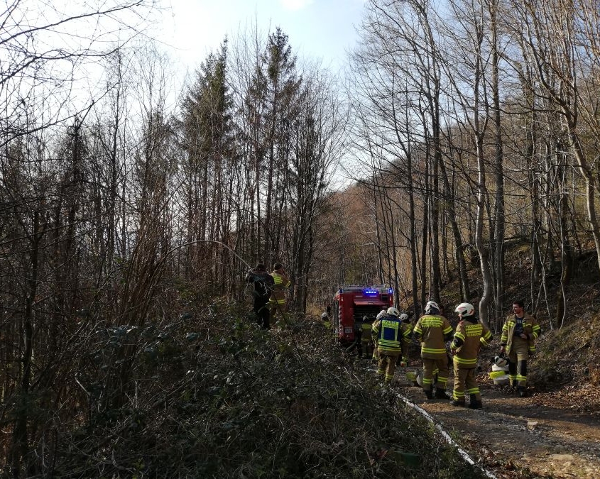 Alarmstufe 3 - Waldbrand in Elsbethen