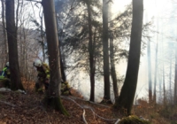 Alarmstufe 3 - Waldbrand in Elsbethen