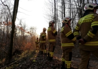 Alarmstufe 3 - Waldbrand in Elsbethen