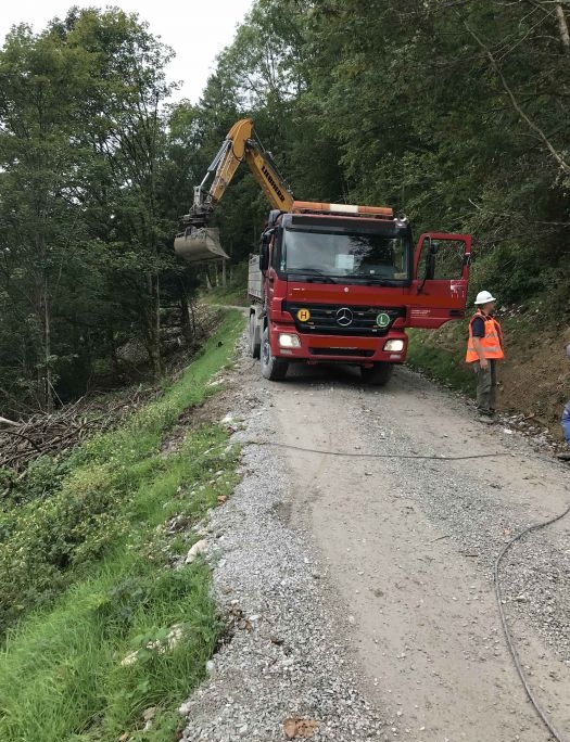 LKW Bergung Höhenwald