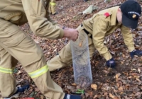 Baumpflanzaktion der Feuerwehrjugend