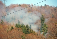 Alarmstufe 3 - Waldbrand in Elsbethen