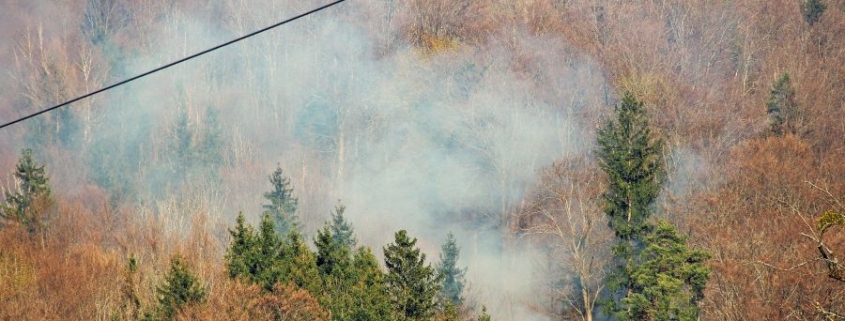 Alarmstufe 3 - Waldbrand in Elsbethen