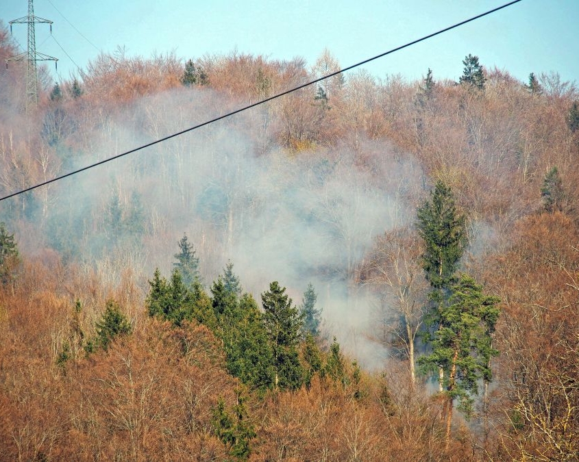 Alarmstufe 3 - Waldbrand in Elsbethen