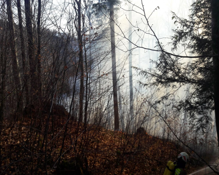 Alarmstufe 3 - Waldbrand in Elsbethen