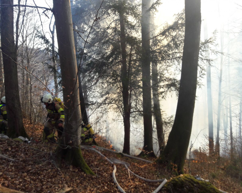 Alarmstufe 3 - Waldbrand in Elsbethen