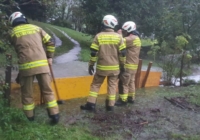 Hochwasser Elsbethen