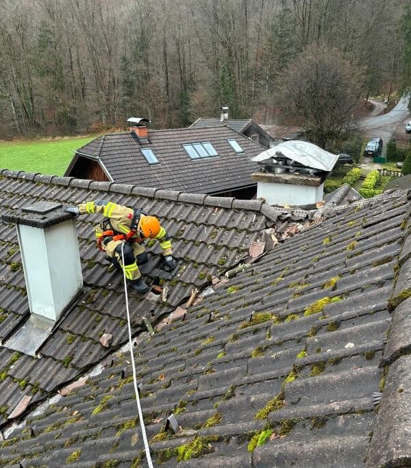 Baum umgestürzt - Lohhäuslweg