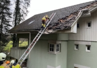 Baum umgestürzt - Lohhäuslweg